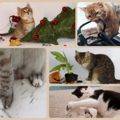 FURNIinspire3-Level Cat Tree With Sisal Scratching Posts, Fun Cat Badminton Toy For Playing, Soft Cushions & Play Areas, 25.5"*17.75"*46.5" -Home Haven Furniture Store GUEST 4f85f84f fe16 4de3 a06c 80677bbd54b6