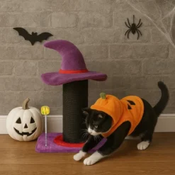 FURNIinspire Pet Tower Halloween Cat Tree Wizard Hat Cat Scratching Post, Cute Cat Toys Kitten Pet Furniture Indoor, Purple, 15.8"*11.8"*23.6"