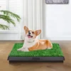 FURNIinspire Pet Crates And Houses, Indoor And Outdoor Pet Loo With Grass, Toilet Substitute, Suitable Size For Many Dogs, Green, 24.81"*20.08"*2.36" -Home Haven Furniture Store GUEST b2bb2ab6 3393 4223 8f45 07092854552a