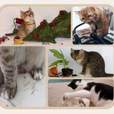 FURNIinspire Cat Tree For Indoor Cats, Cat Tower With Scratching Posts, Ramp, Condo, Toy Balls, Platform, Bed, Ramp, Beige, 23.5"*15.75"*38.5" 4 FURNIinspire Cat Tree For Indoor Cats, Cat Tower With Scratching Posts, Ramp, Condo, Toy Balls, Platform, Bed, Ramp, Beige, 23.5"*15.75"*38.5" - Image 2